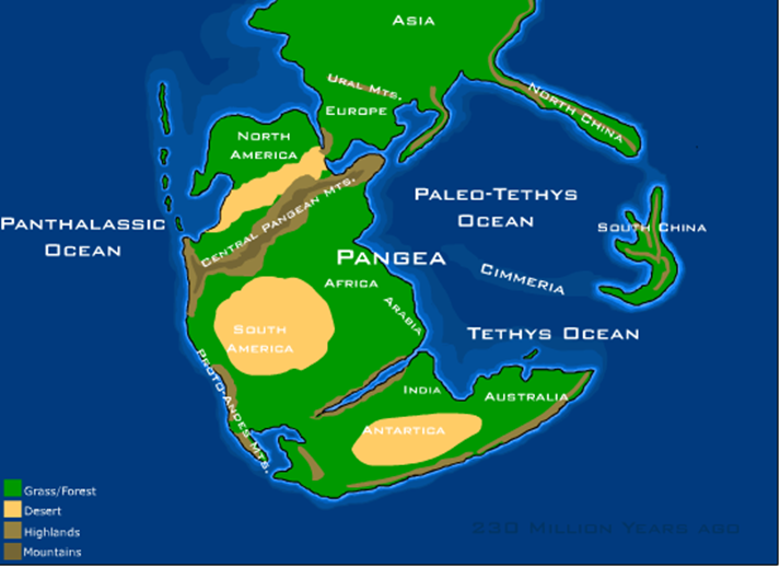 Physical map of the supercontinent Pangaea, 237 million years ago