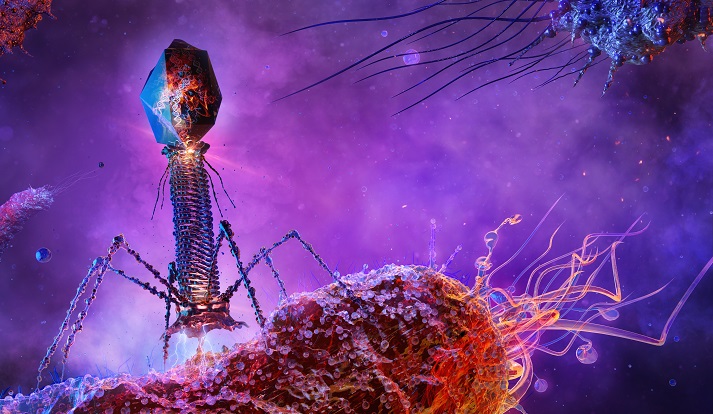 bacteriophage attacking Phage virus T4 infects and replicates within a bacterium by injecting DNA