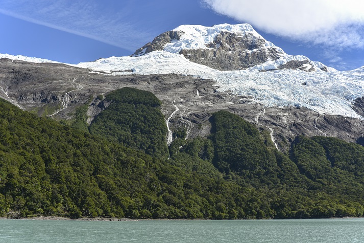 mountainside forest in Argentina Glacier with forest in Parque Nacional Los Glaciares National Park, Argentina, Patagonia, South America