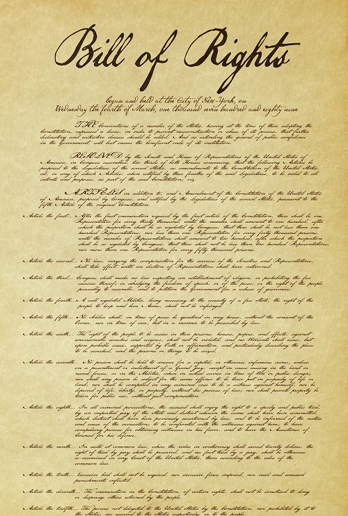 The First Ten Amendments Educational Resources K12 Learning United 