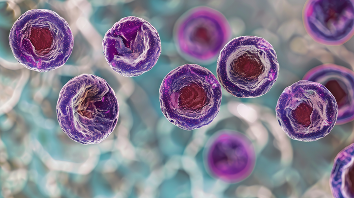 An intricate microscopic image showcasing replicating cells in vibrant colors, illustrating biological processes and the complexity of life at a microscopic