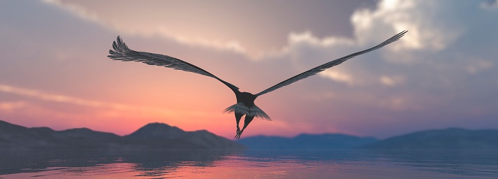 an eagle flying over a lake and mountains