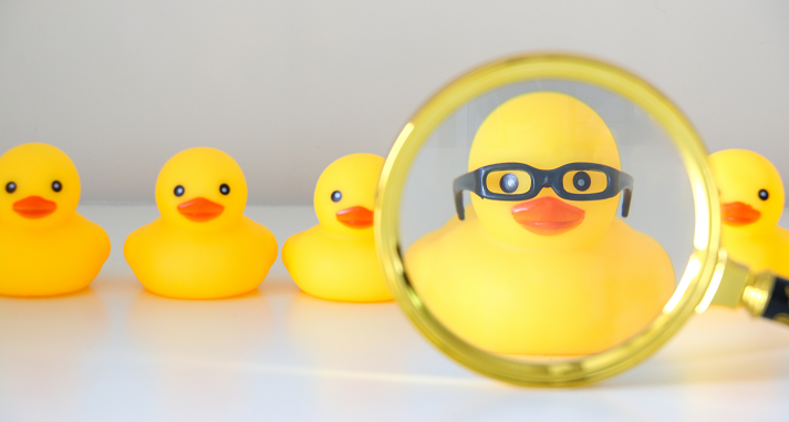 Yellow rubber duck with nerdy glasses selected via magnifying glass amongst others