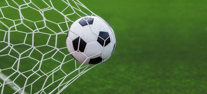 soccer goal soccer goal