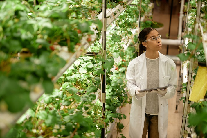 hydroponic plant growth Woman wearing white lab coat inspecting hydroponic plant growth in controlled environment holding tablet
