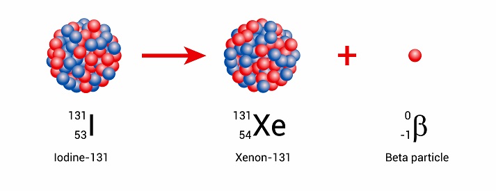 Iodine-131 nucleus undergoes beta decay to form xenon-131 Iodine-131 nucleus undergoes beta decay to form xenon-131