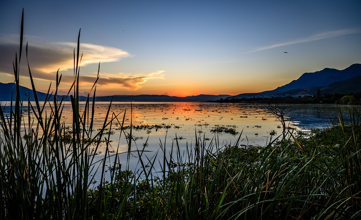 Tall grass at waters edge partially covers the horizon during sunset at Lake Chapala in Ajijic Mexico