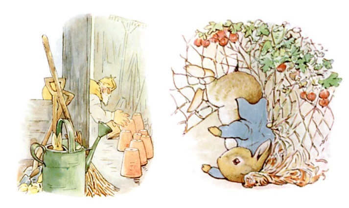 Hop Into the Setting With Peter Rabbit! Educational Resources K12 ...