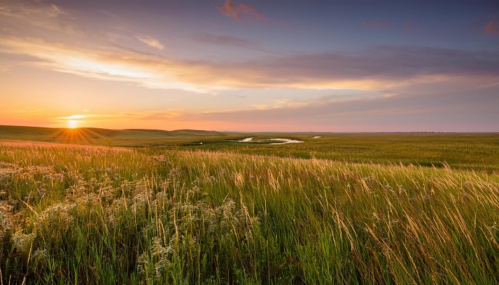 Kansas Frontier: Pioneers, Plains, and Possibilities Educational ...