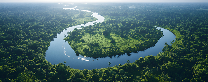 The lush jungle landscape of Darién National Park, with rivers and abundant wildlife