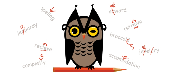 revising owl
