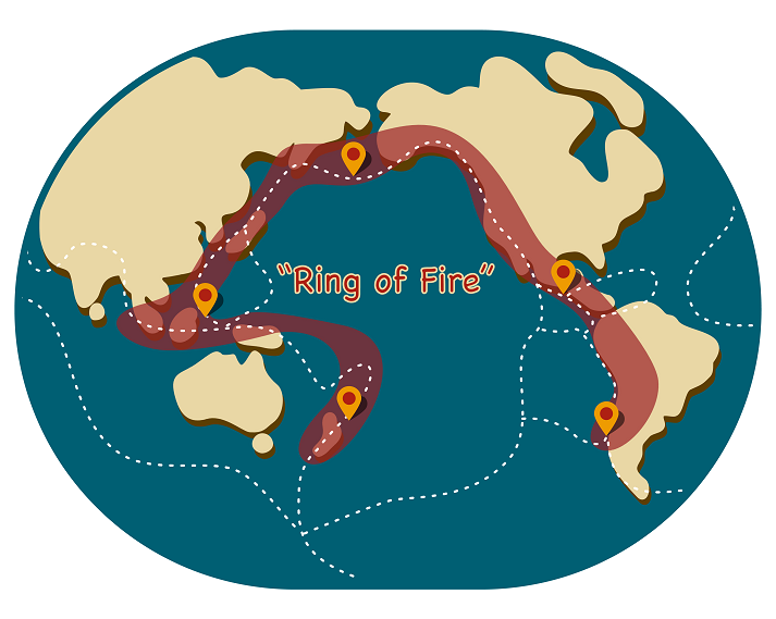 The 