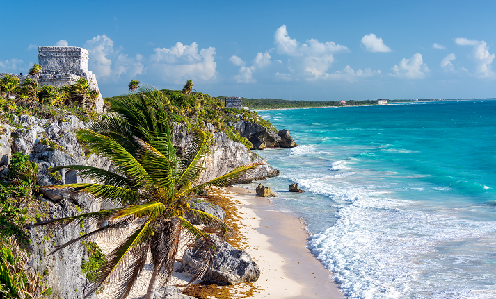 Tulum Ruins and Palm Tree