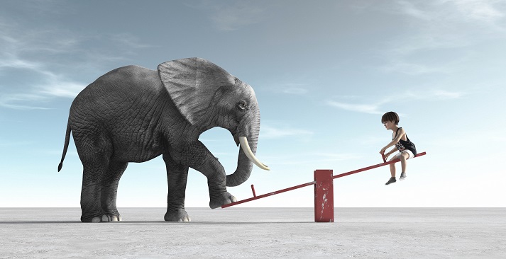 an elephant and child using a seesaw