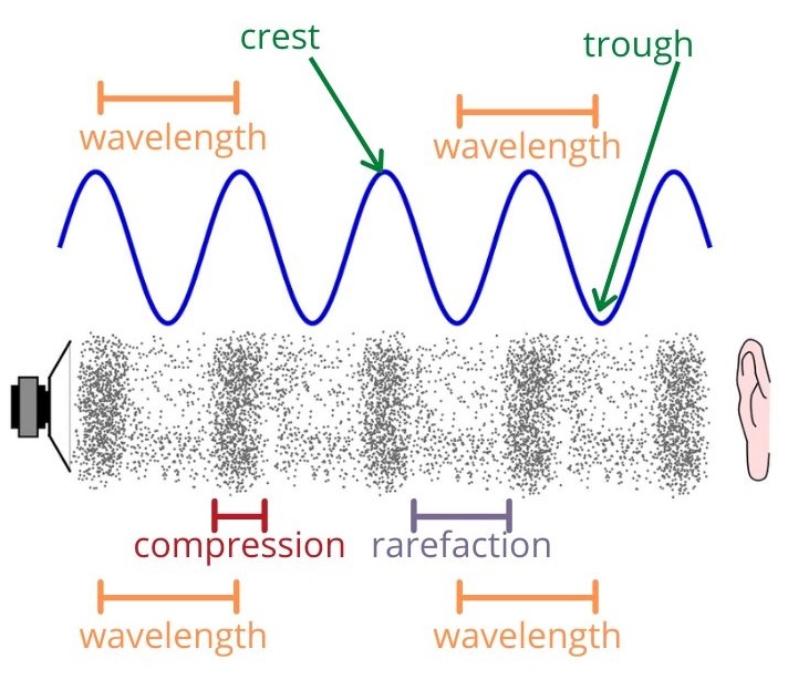 Wave Diagram Labeled Longitudinal Wave Definition Examples 