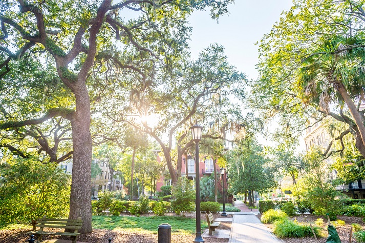 cobblestone sidewalks in Savannah with old homes and beautiful landscaping
