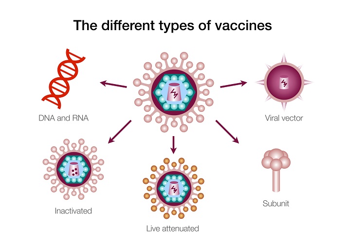 types of vaccines types of vaccines