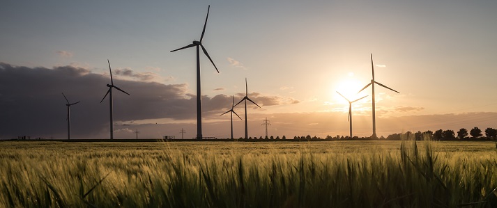wind farm turbine wind farm at sunset