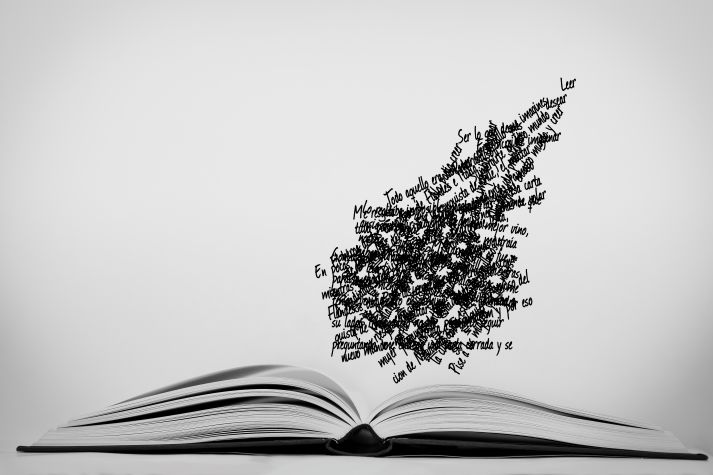 Closeup of an open book with flying words
