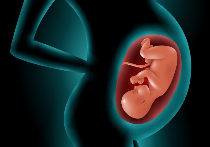 Lesson - Basics of Human Reproduction Educational Resources K12 Learning