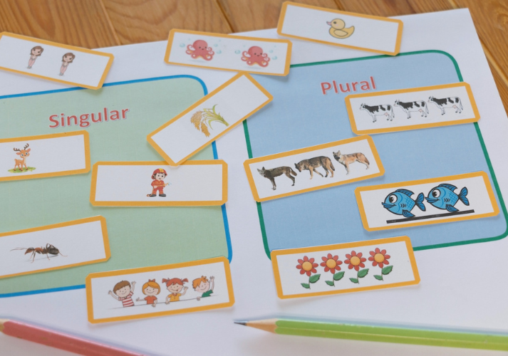 Lesson - Plural Nouns Educational Resources K12 Learning