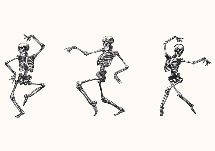 Lesson - All About Skeletons Educational Resources K12 Learning